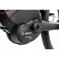 Kép 5/6 - BONUM EDGE NEXUS 8 26"