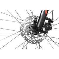 Kép 6/6 - MUNDO PRO 24S