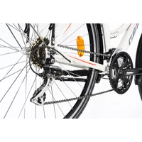 Kép 3/5 - ALBOIN 200 PRO L 21