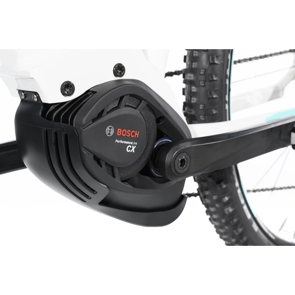SIRMIUM PRO DEORE 10