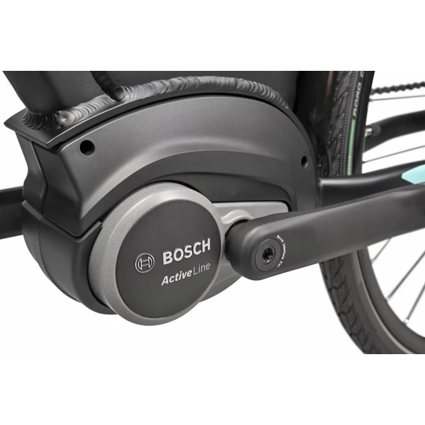 REPTILA 1000 ALTUS 7