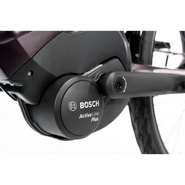 BONUM EDGE NEXUS 8 26"