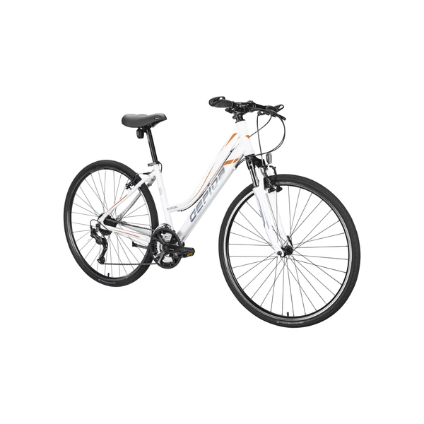 ALBOIN 300CRS L 24S